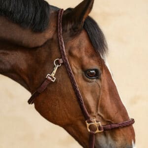 Licols-Longes - Sellerie Equestrial - Passionnément cheval
