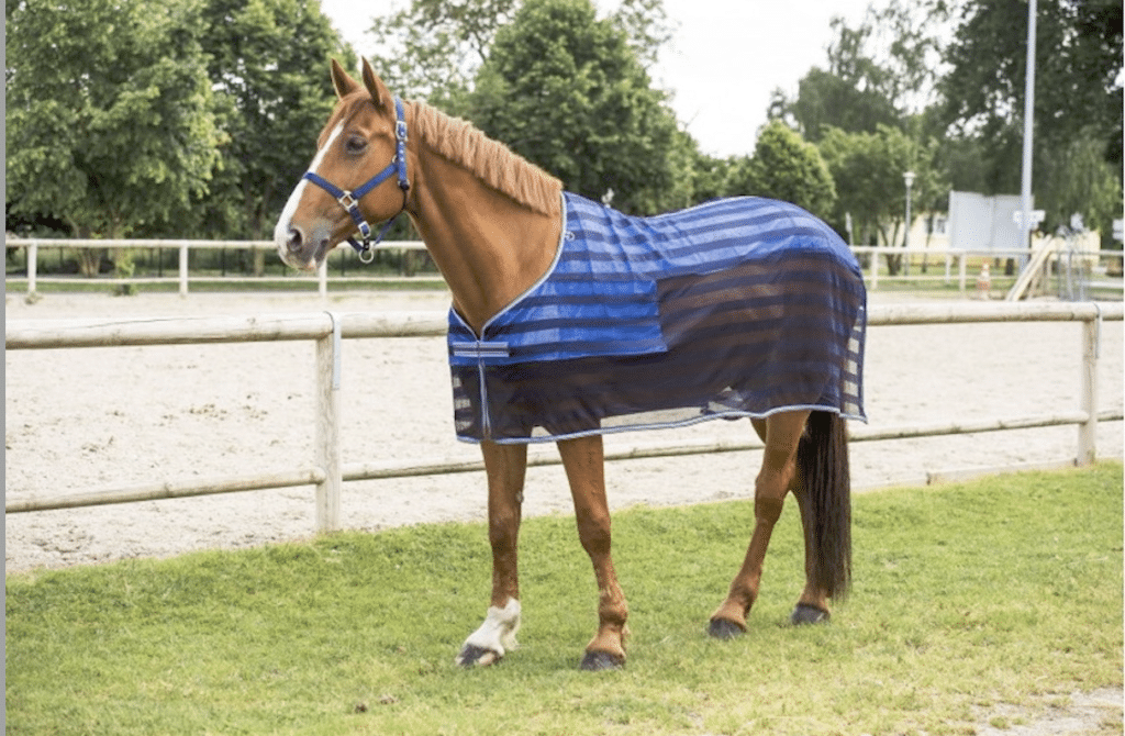 chemise anti mouches cheval